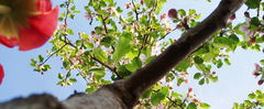 K�p�nk illusztr�ci�. Forr�s: magrathea.hu