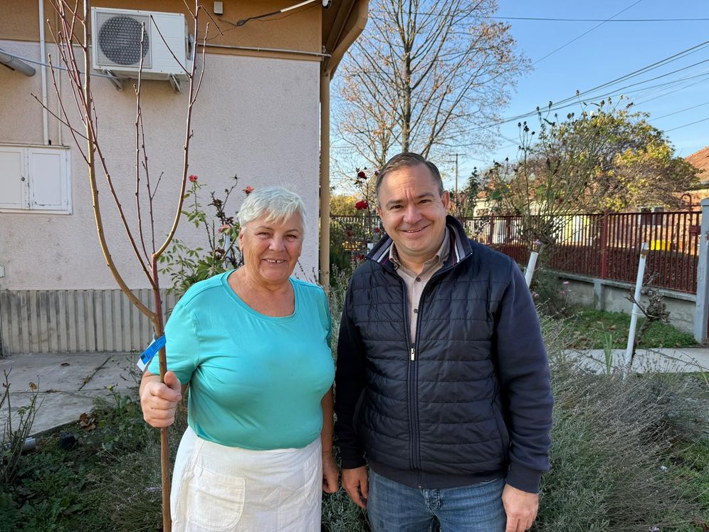 Fákat kézbesítenek a gyulai képviselők 