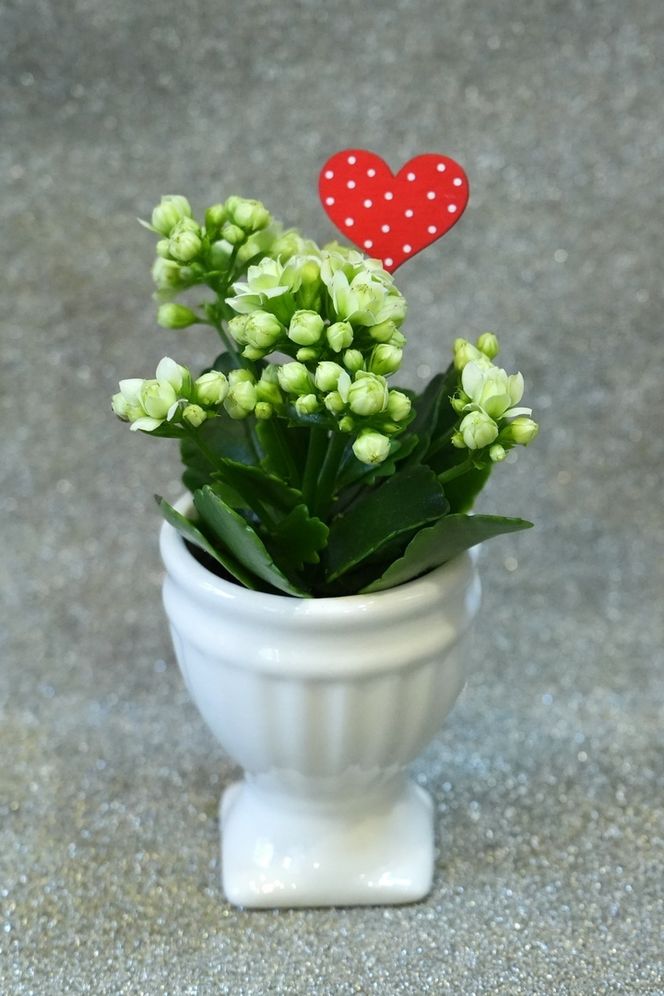 Kompozíciók Valentin-napra a Tünde virágüzletben 