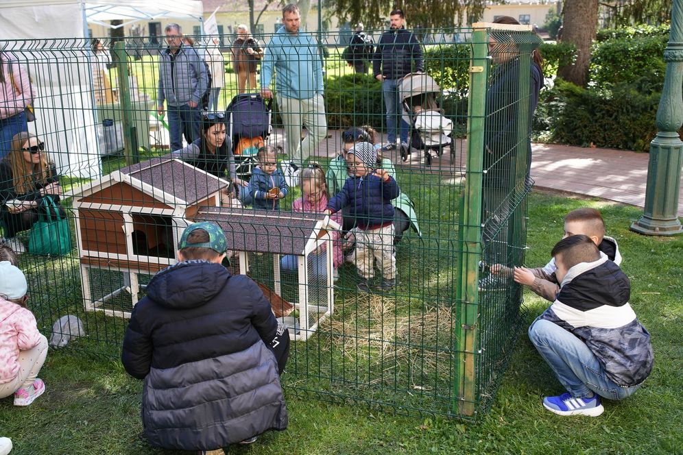 Húsvéti programok a kastélyparkban