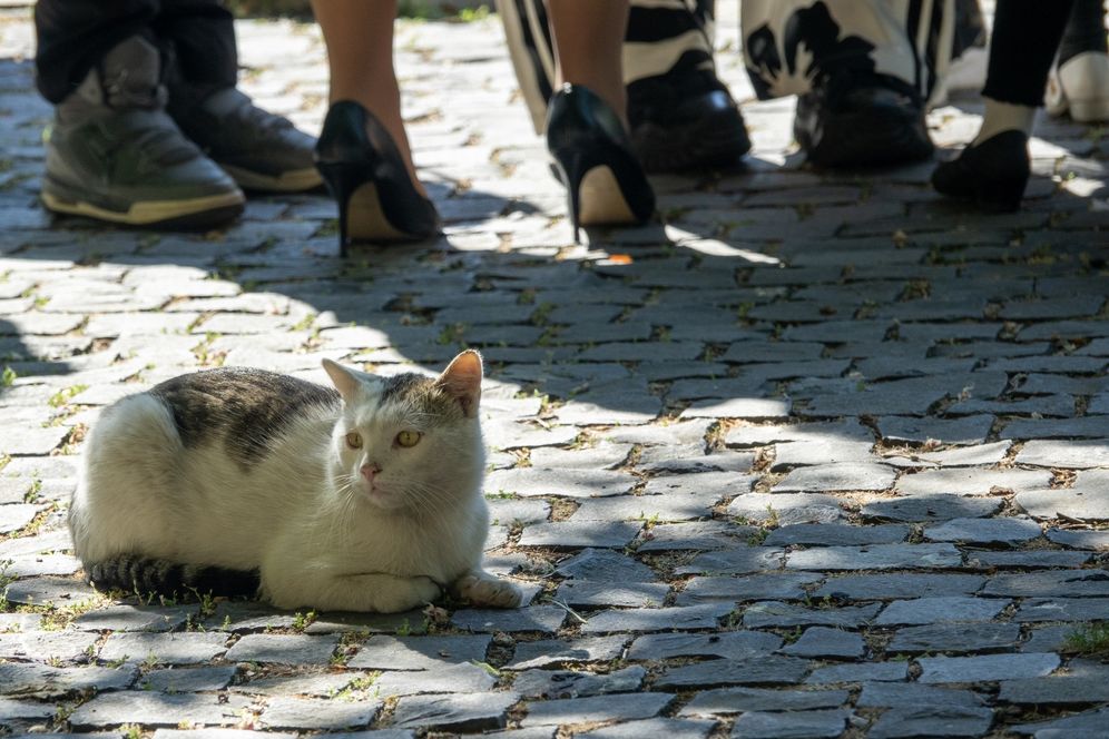 Elballagtak a Gyulai Erkel Ferenc Gimnázium és Kollégium végzősei 