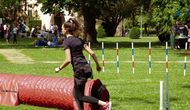 +