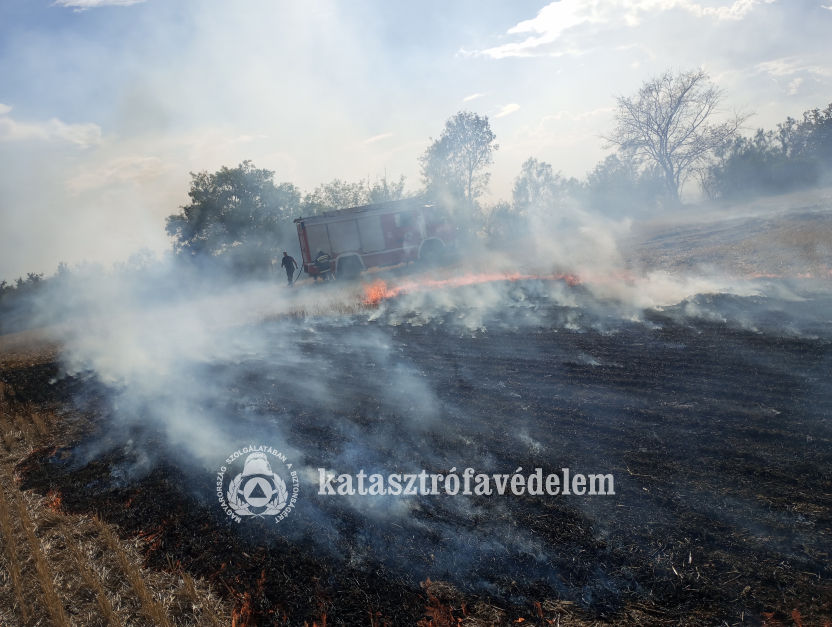 Legelő, búzatarló és bozótos égett Gyulán 