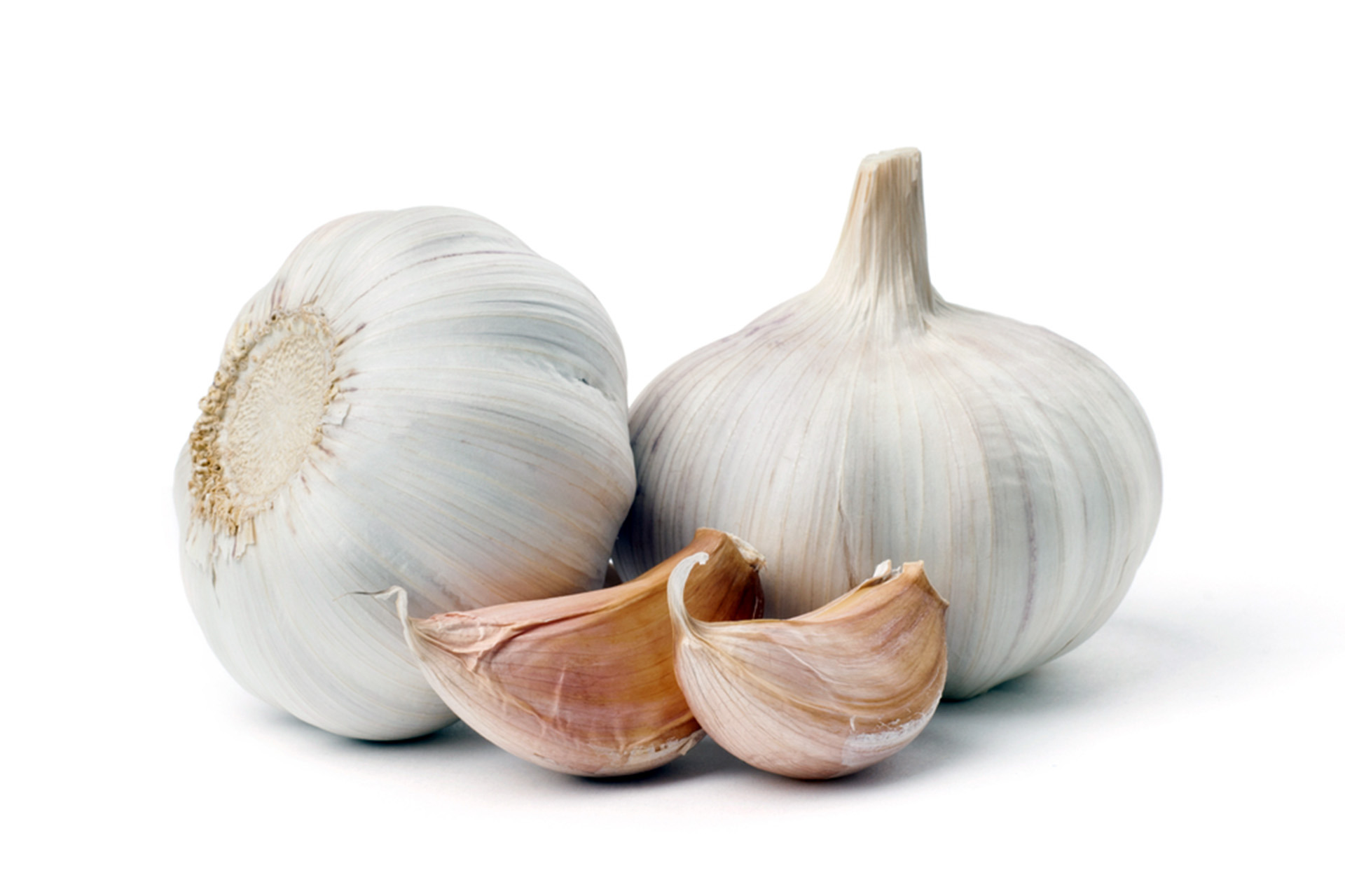 ____Eredeti-fokhagyma_poconogarlic.com.jpg