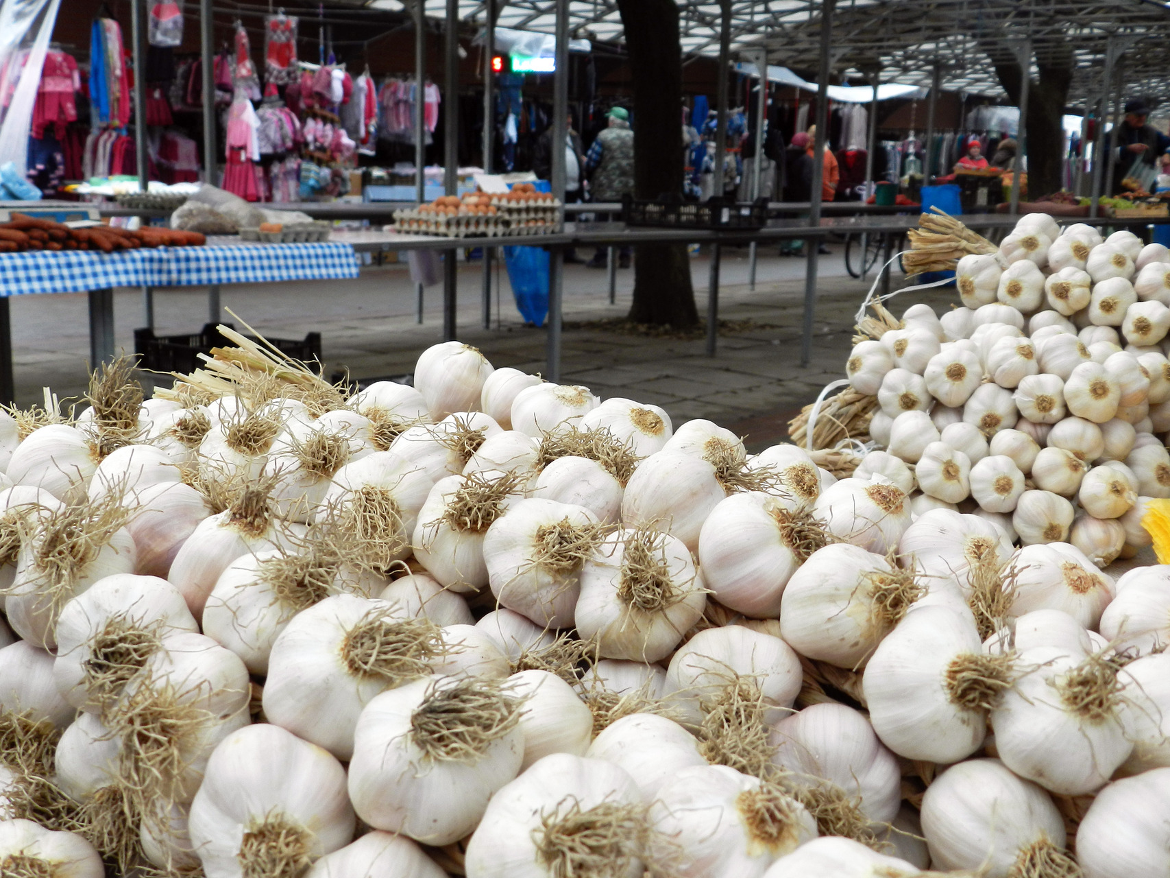 ____Eredeti-piac_fokhagyma_2015.jpg
