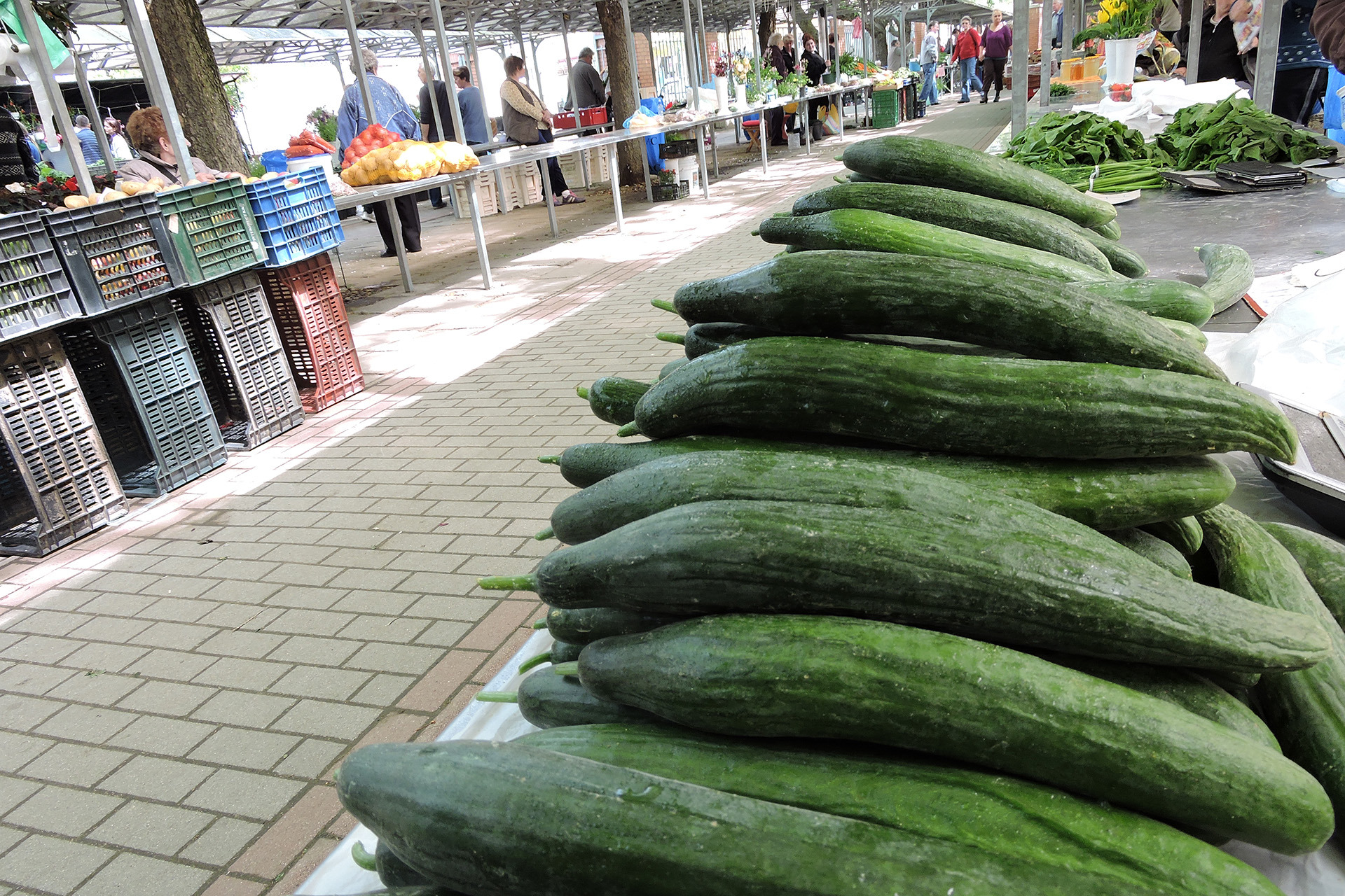 ____Eredeti-piac_uborka_2016.jpg