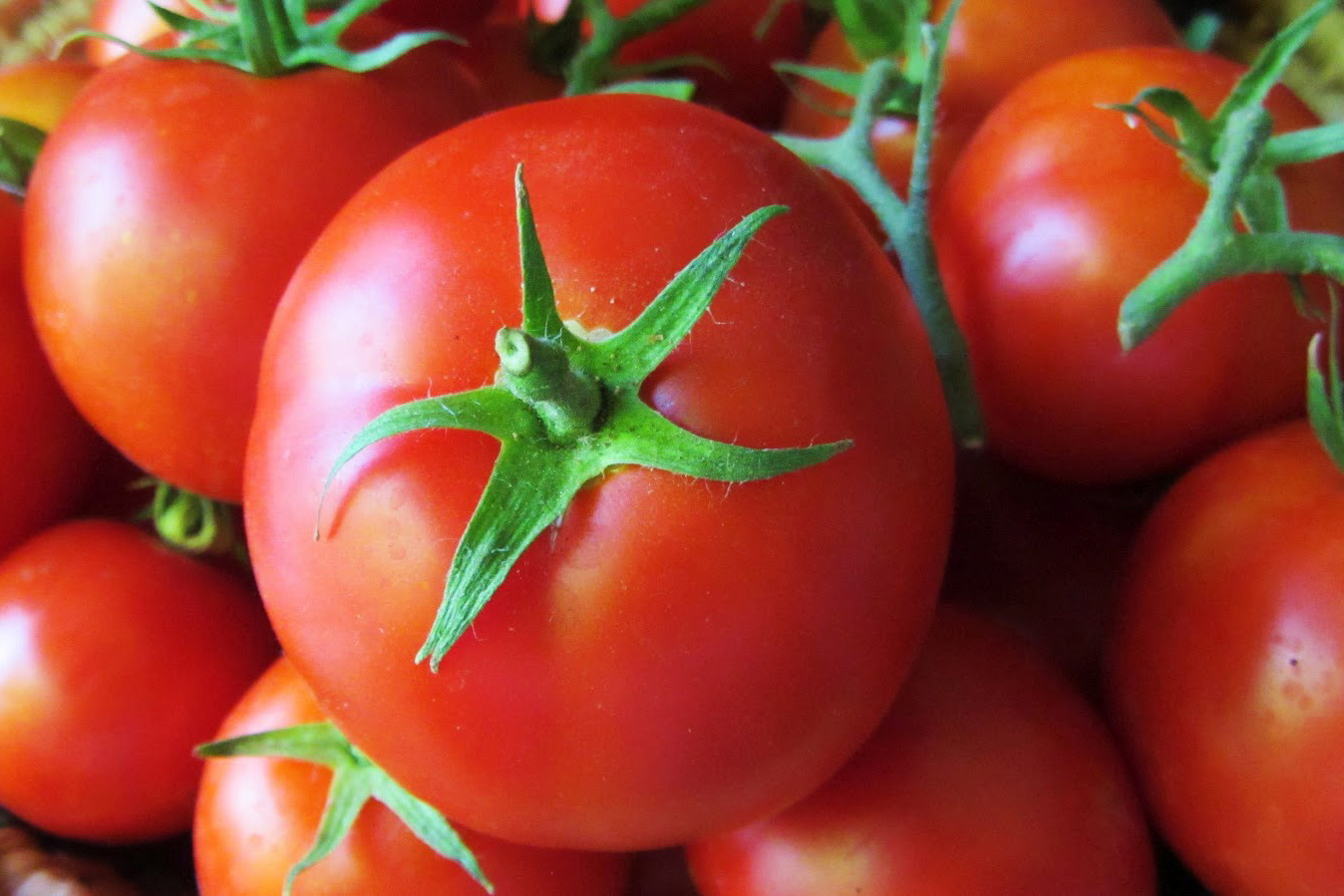 ____Eredeti-paradicsom.jpg
